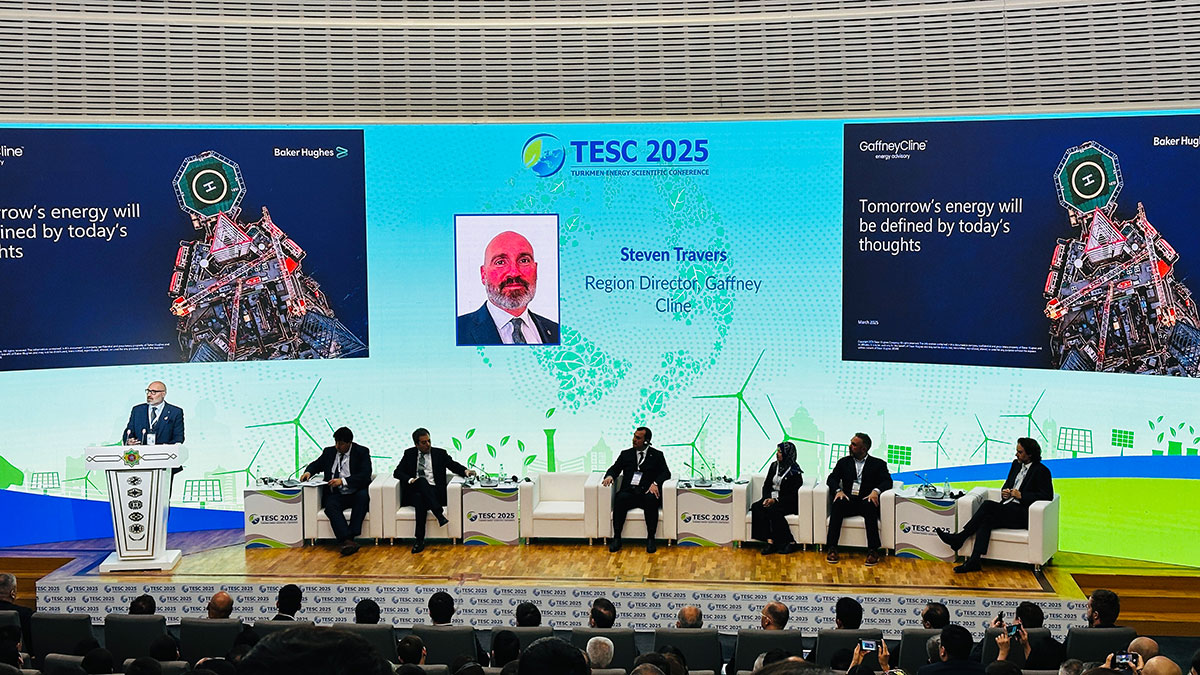 Комментарии экспертов о TESC 2025 в Ашхабаде